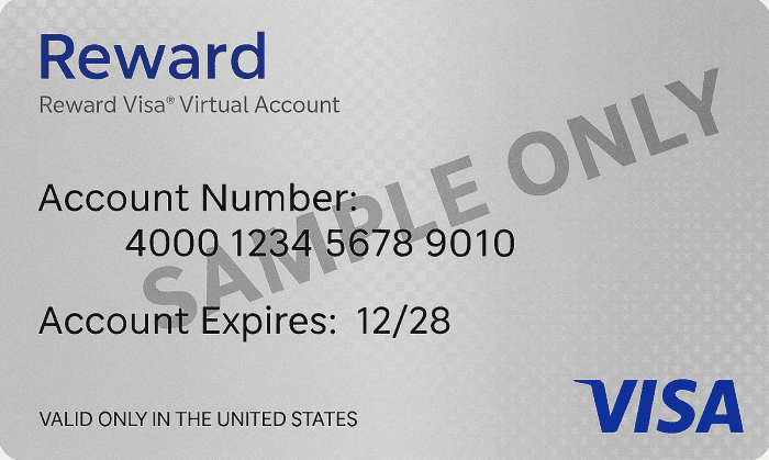 Prepaid Visa eReward USD