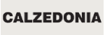 Calzedonia IT 50 EUR