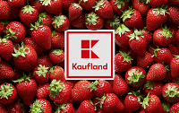 Kaufland DE 25 EUR